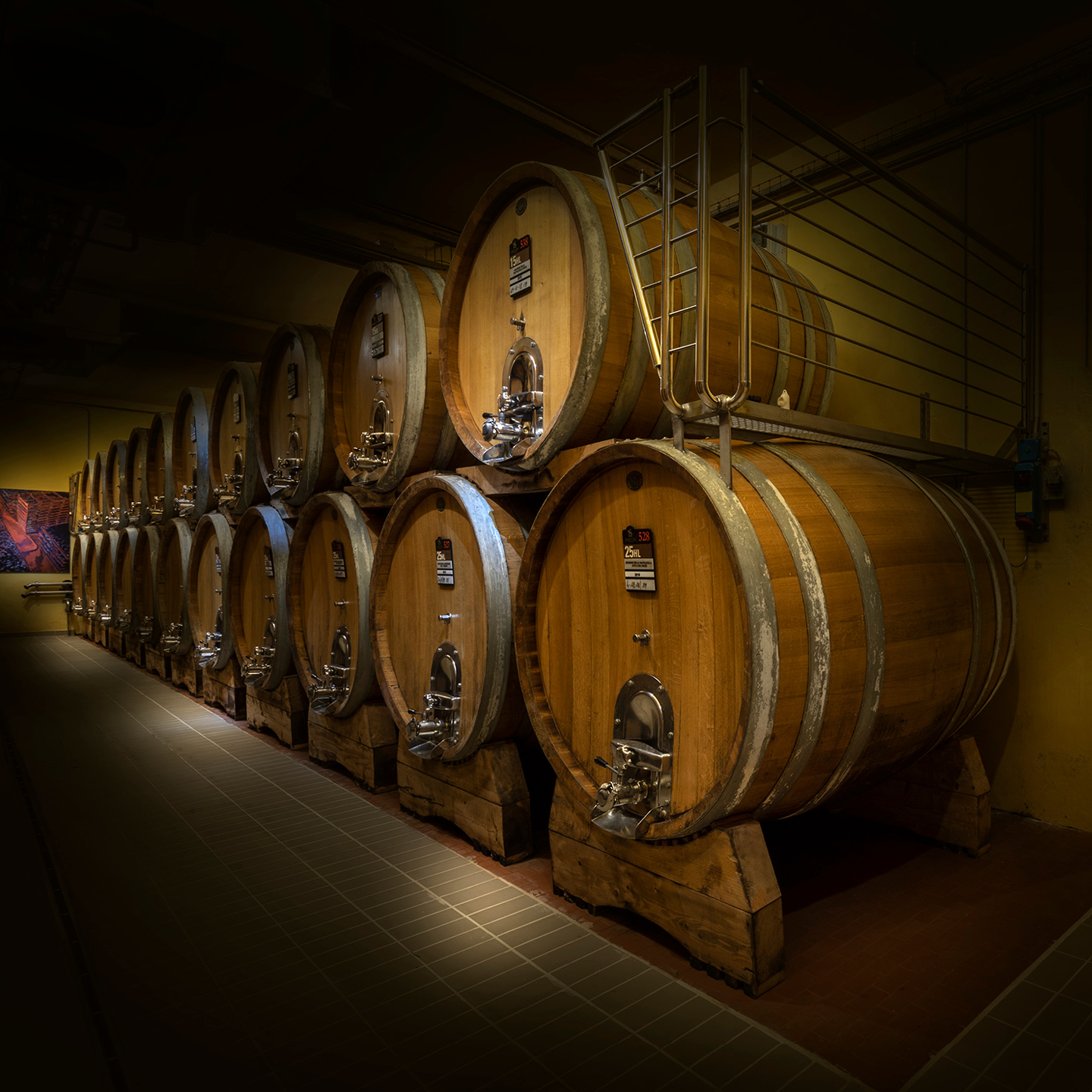 サルトーリの写真3