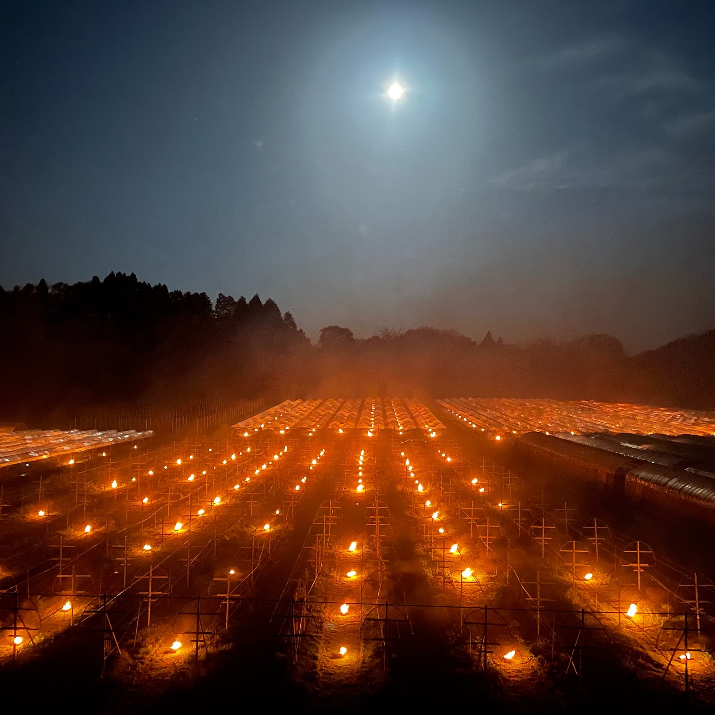 有限会社 奥出雲葡萄園の写真3