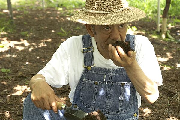 鳥居平今村の写真2