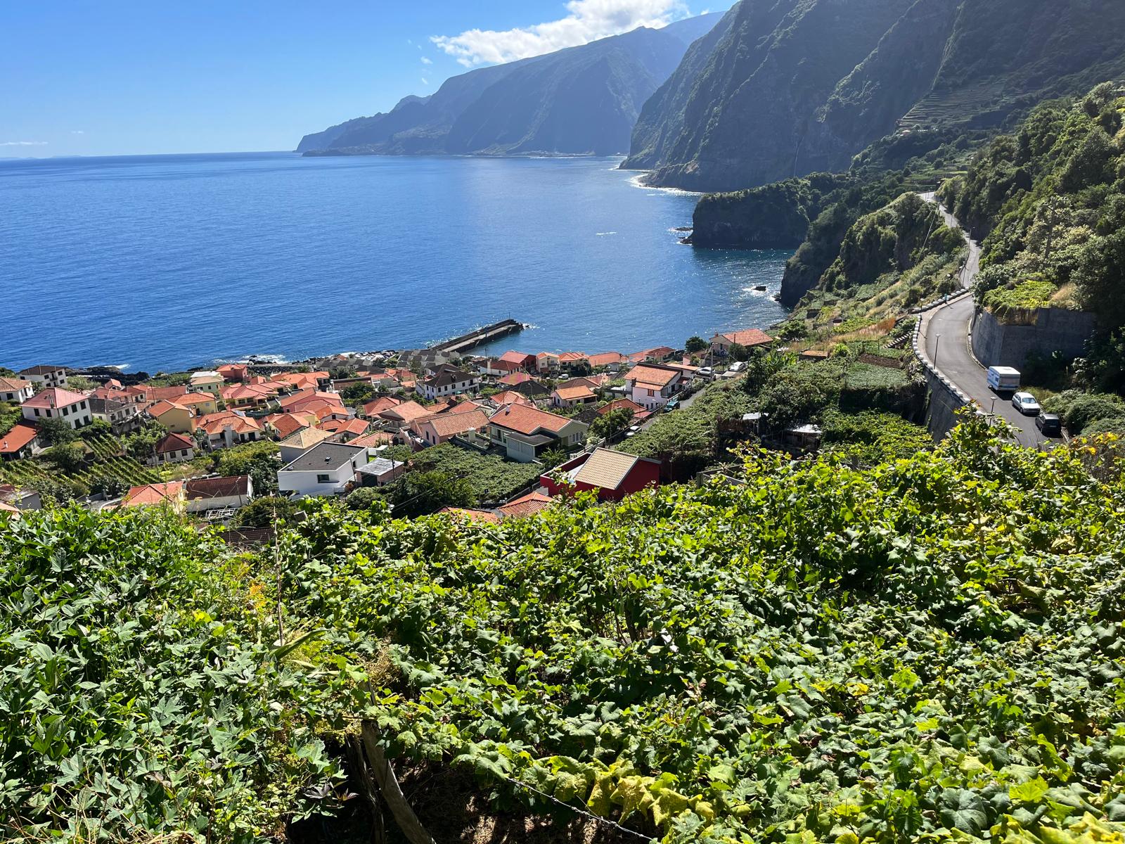 プロフェタス・イ・ヴィリョンスの写真1