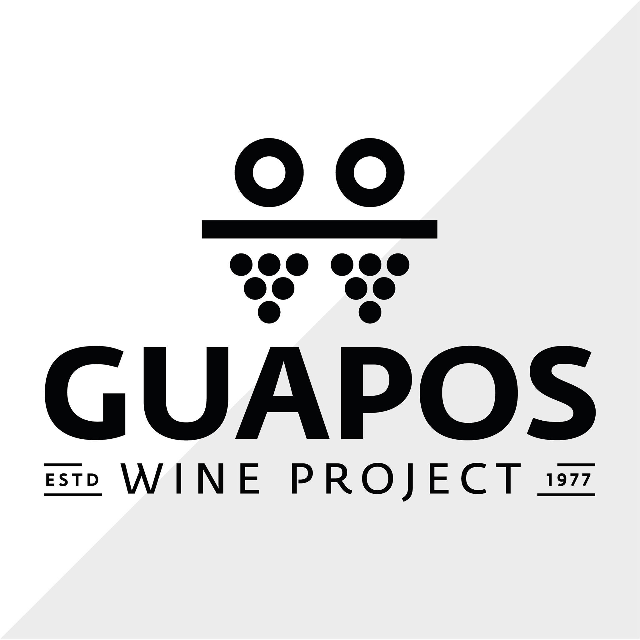 グアポス・ワイン・プロジェクトの写真1
