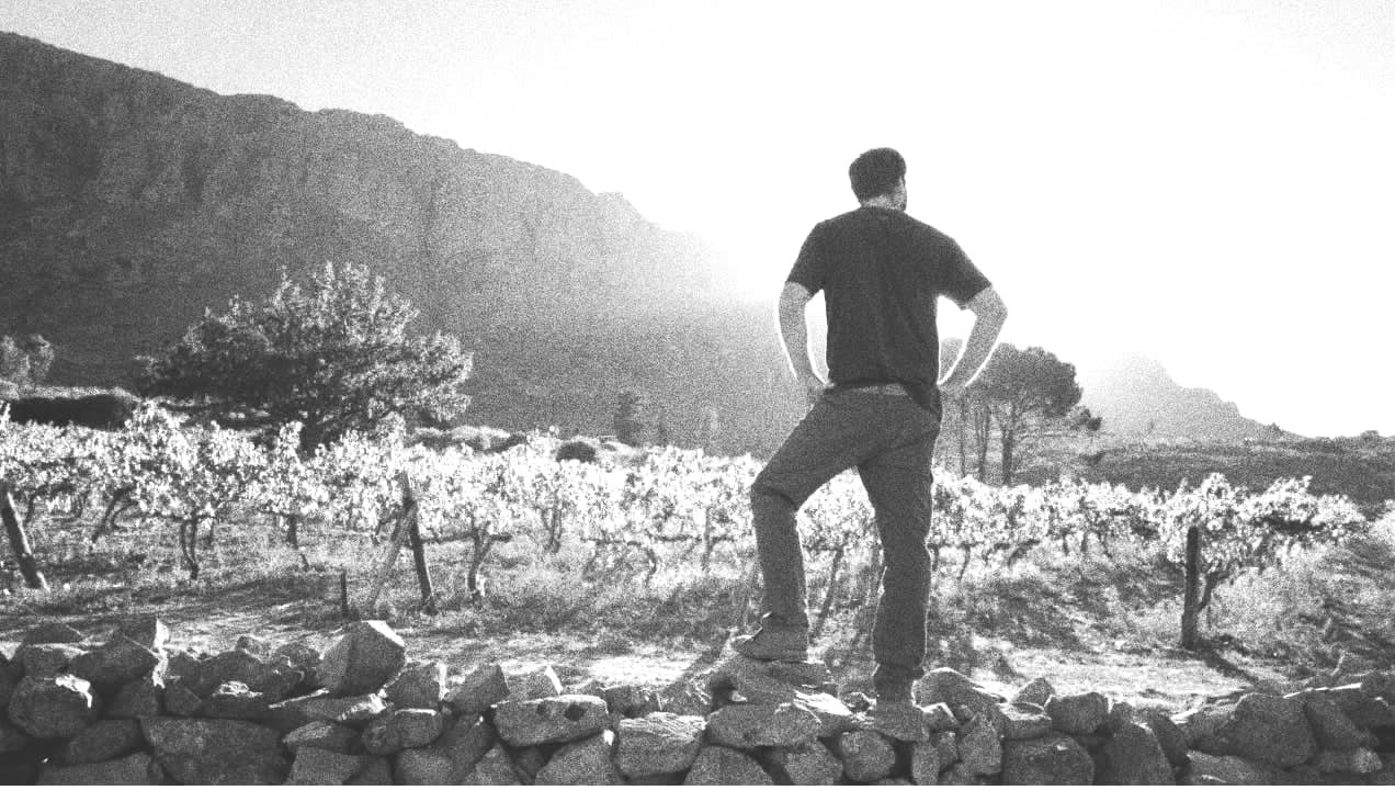 スワートベルク・ヴィンゲルデの写真3