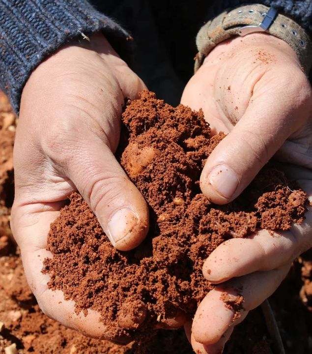 ボデガス・イ・ビニェードス・ポンセの写真1