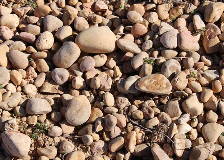 ボデガス・イ・ビニェードス・ポンセの写真2