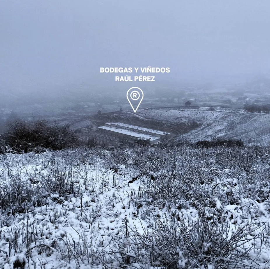 ボデガス・ラウル・ペレスの写真3