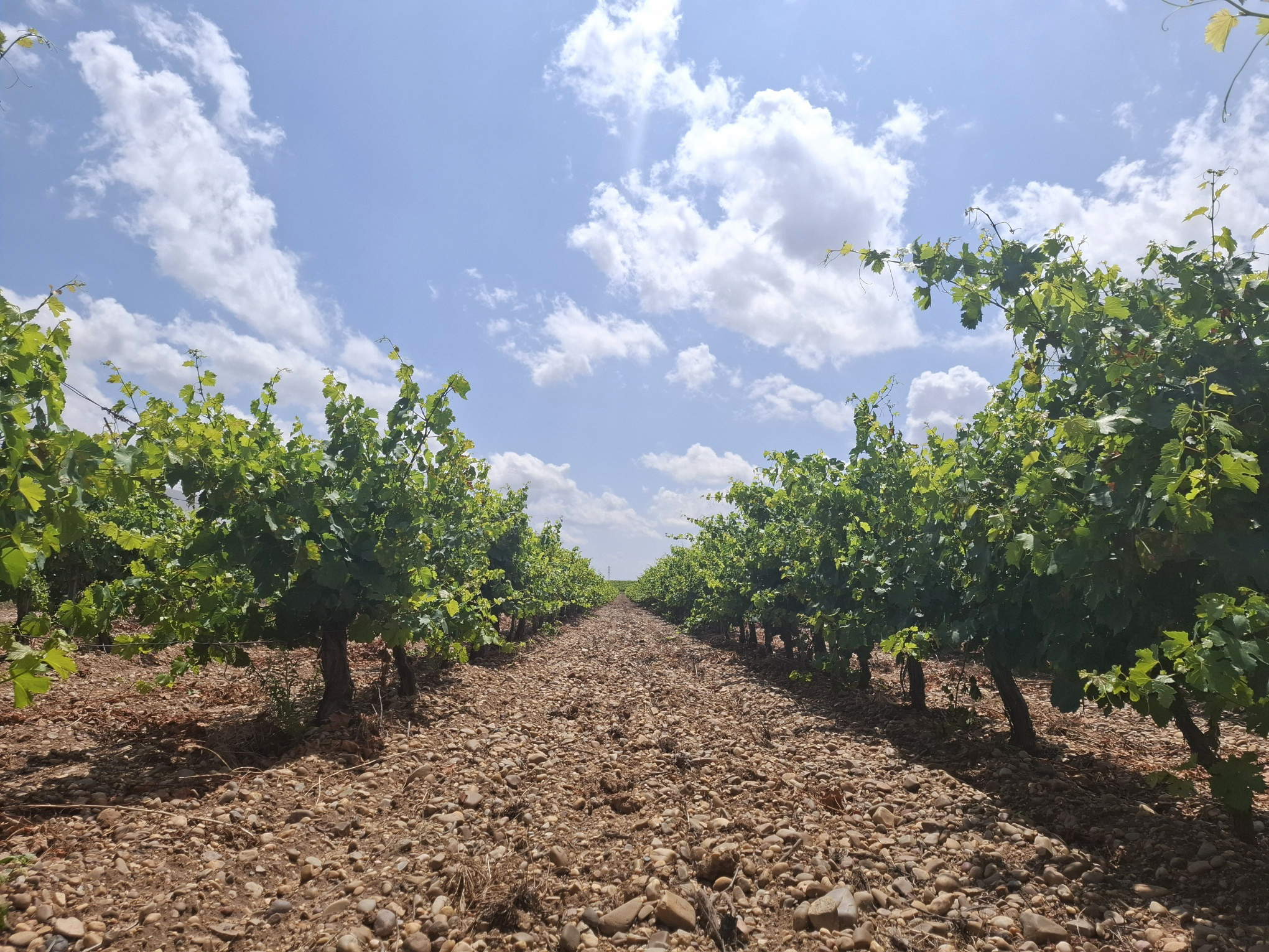 レイーナ・デ・カスティーリャの写真1