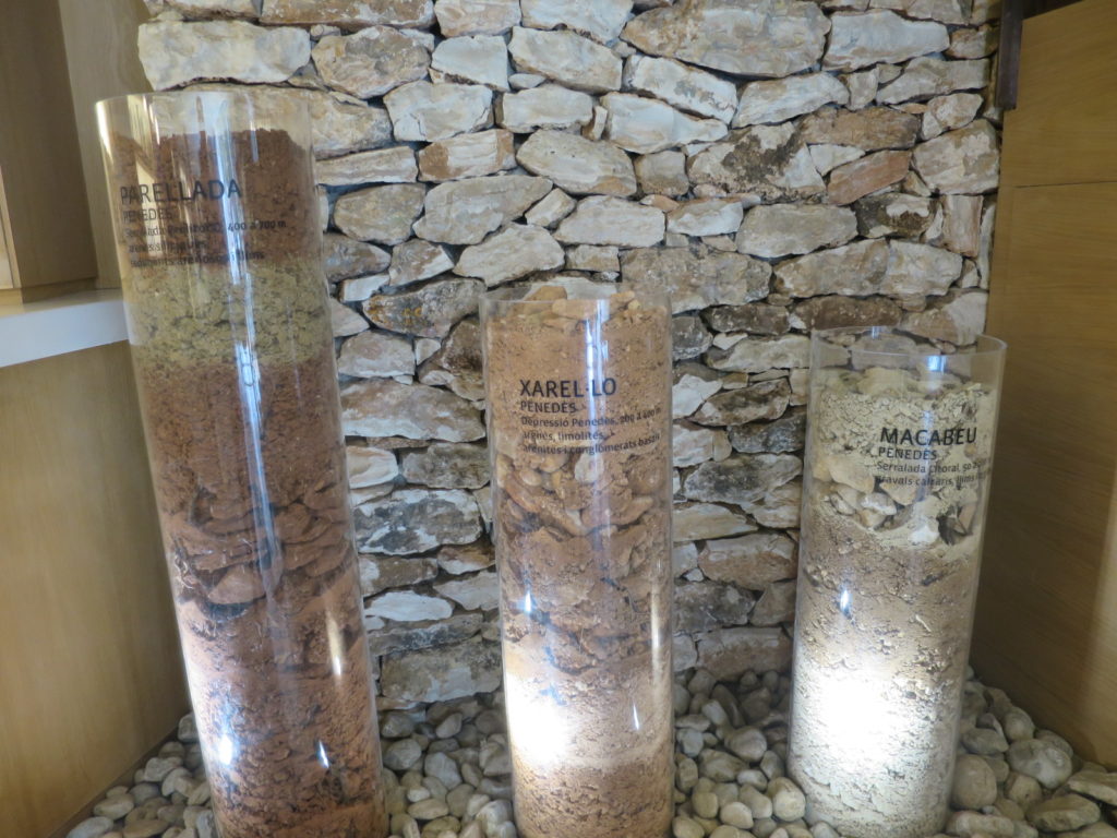 アグスティー・トレーリョの写真2