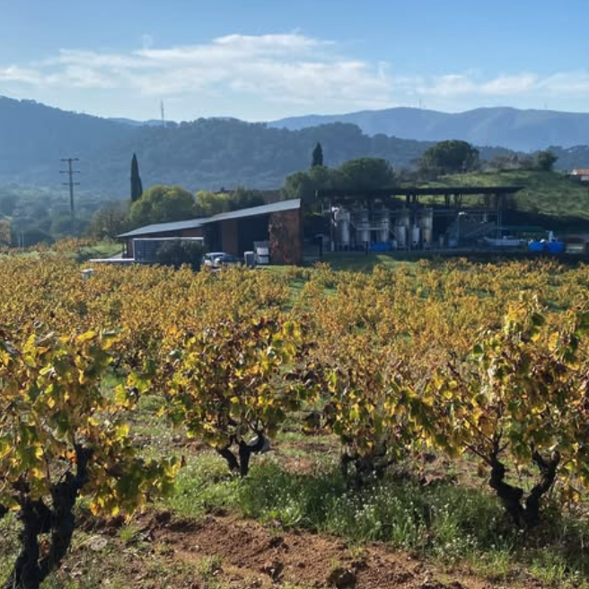 カン・マトンの写真1