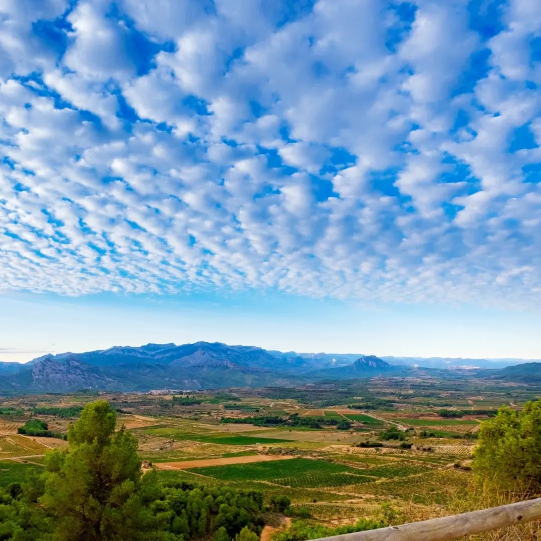 セリェール・ピニョルの写真1