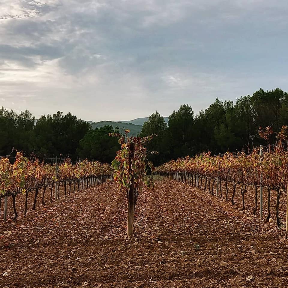 マリア・カサノヴァの写真2