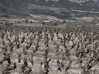 カサ・ロホの写真2