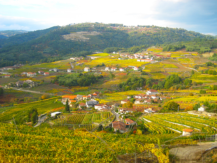 コト・デ・ゴマリスの写真1