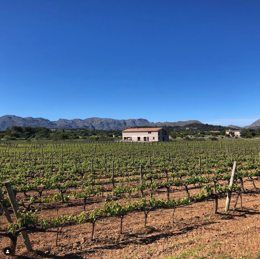 カン・シャネットの写真1