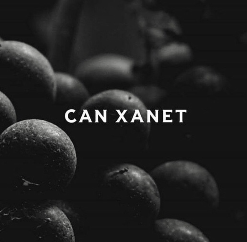 カン・シャネットの写真2