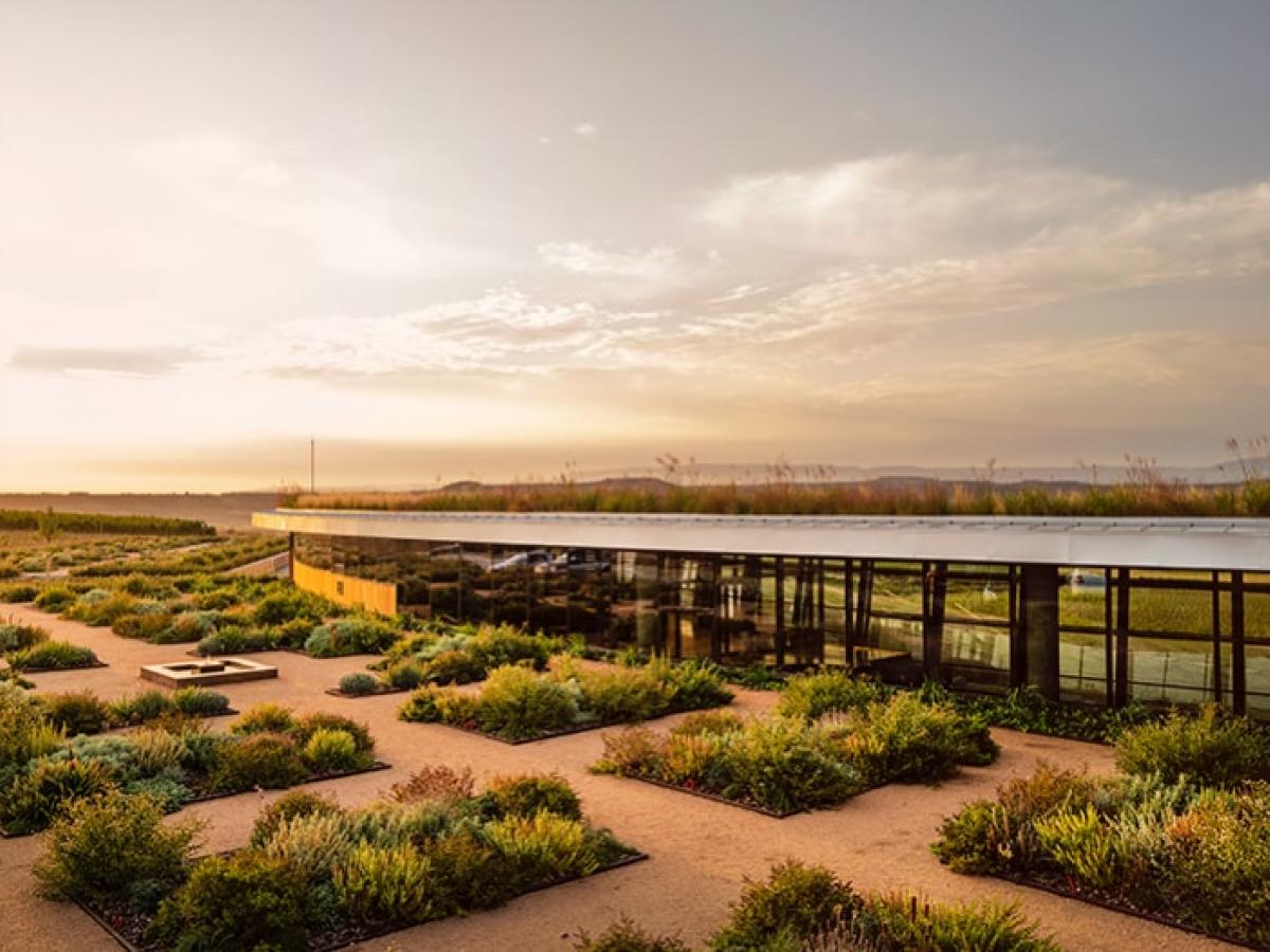 ボデガス・ベロニアの写真1