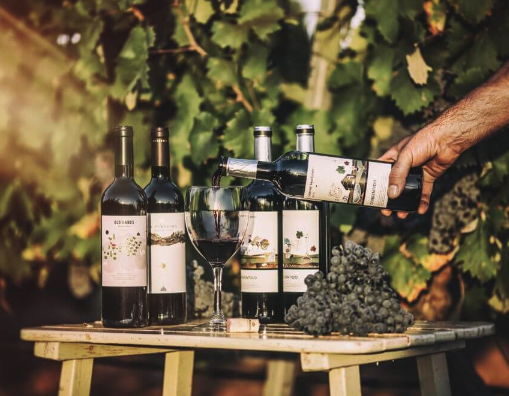 ボデガス・ラ・プリシマの写真1