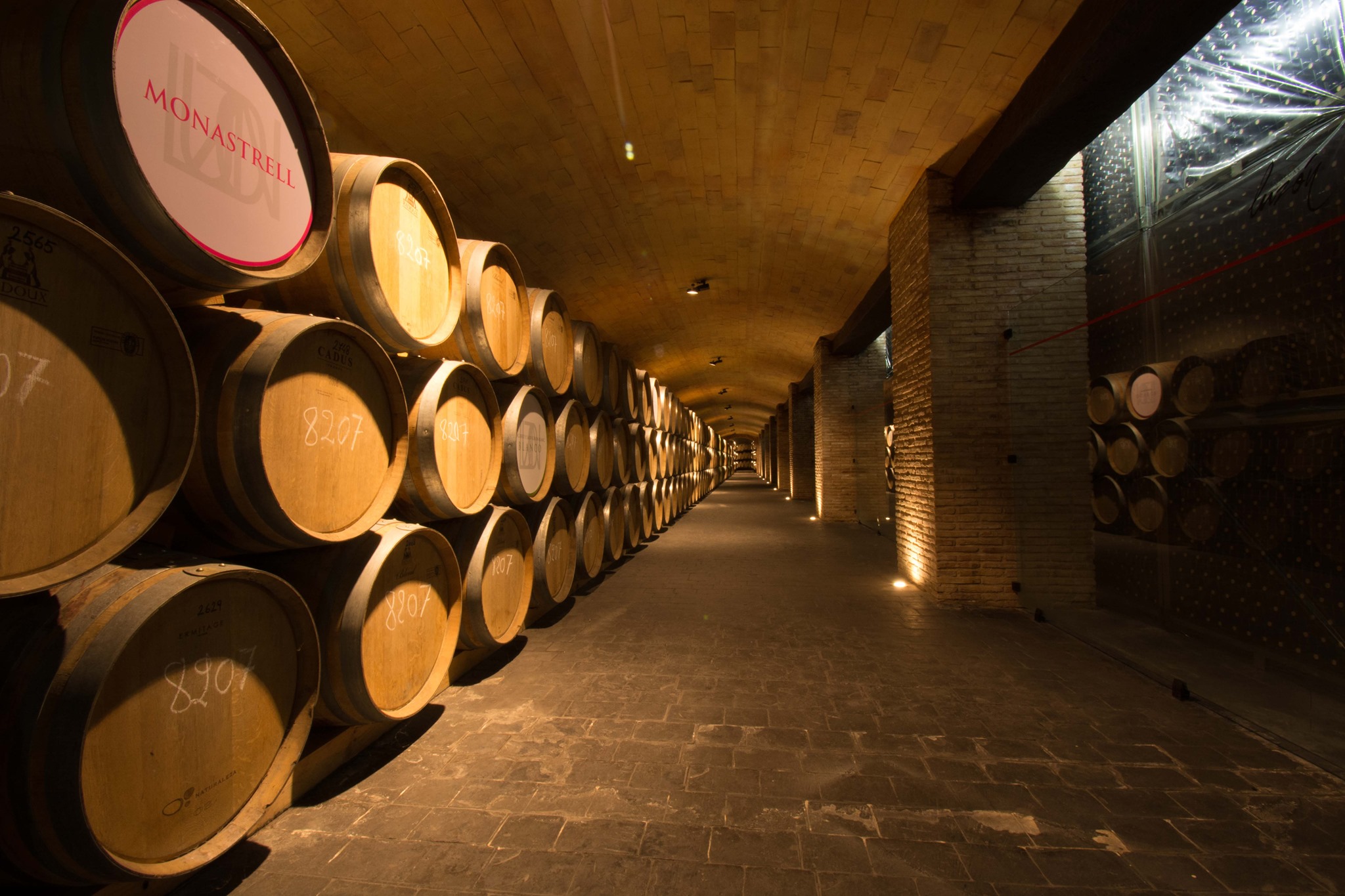 ボデーガス・ルソンの写真1