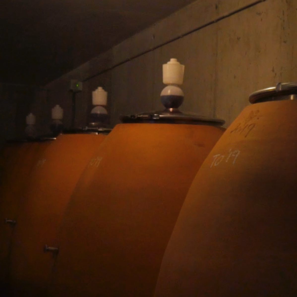 ボデガス・アスル・イ・ガランサの写真1