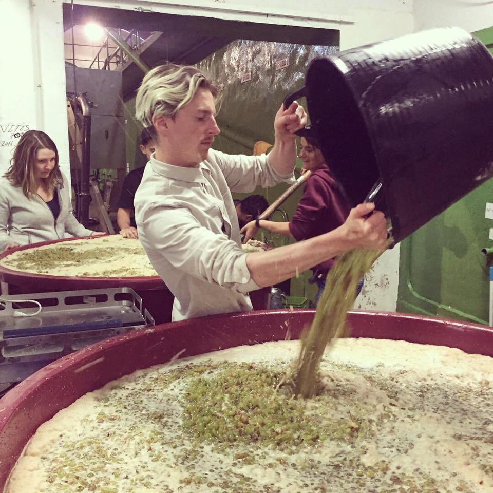 ボデガス・アスル・イ・ガランサの写真3