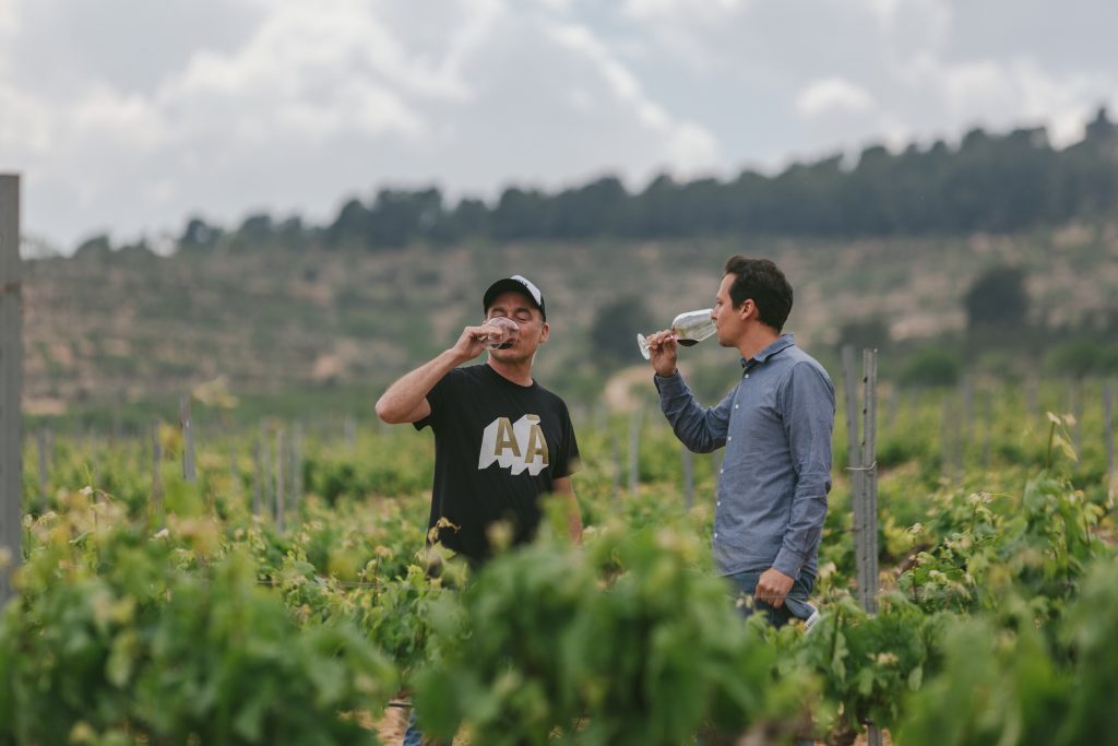 ボデーガス・アントニオ・アラーエスの写真2