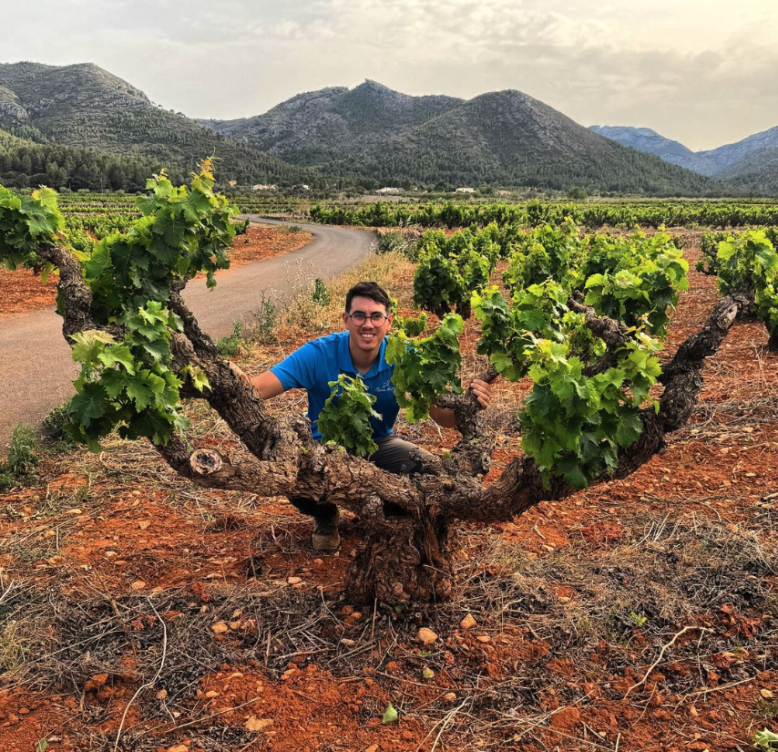 オスカル・メストレの写真1