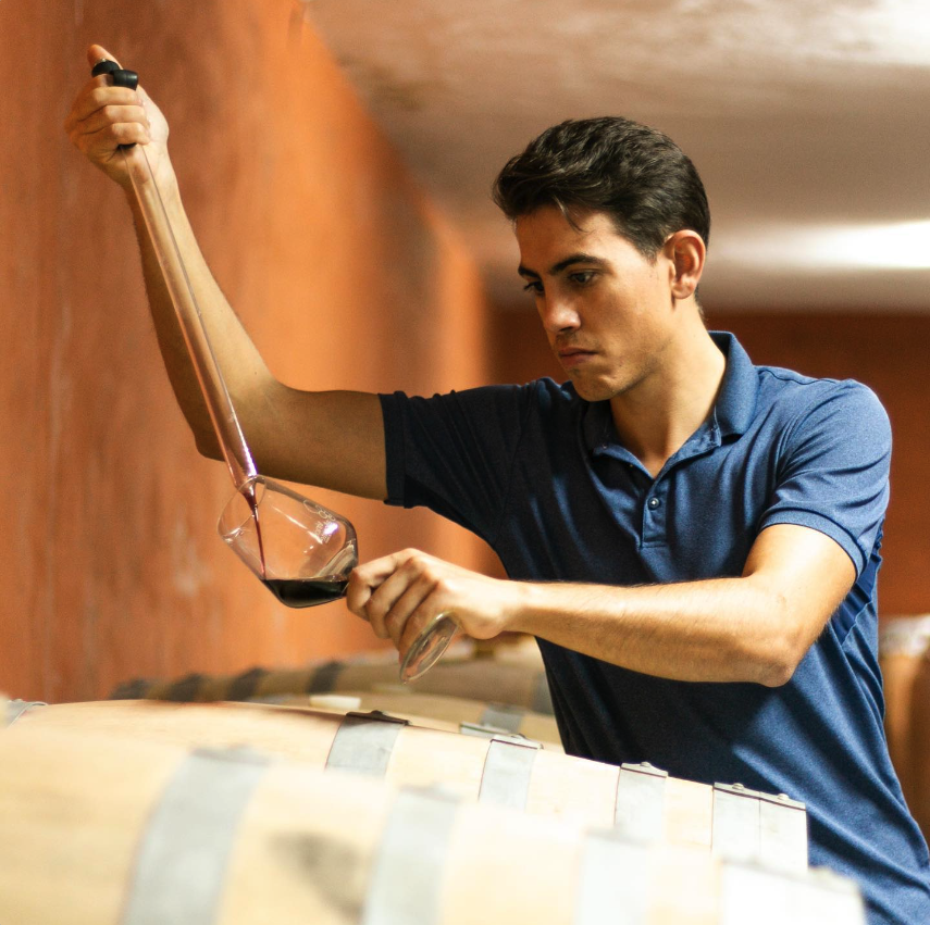 オスカル・メストレの写真3