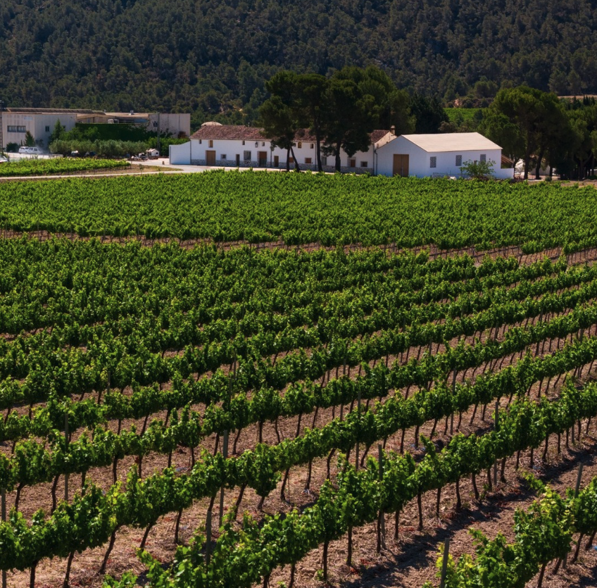 パゴ・カサ・グランの写真3