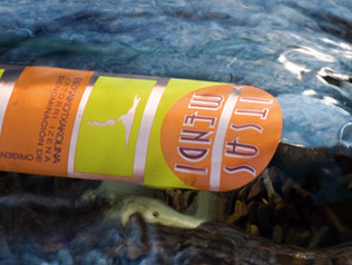 イチャスメンディの写真3