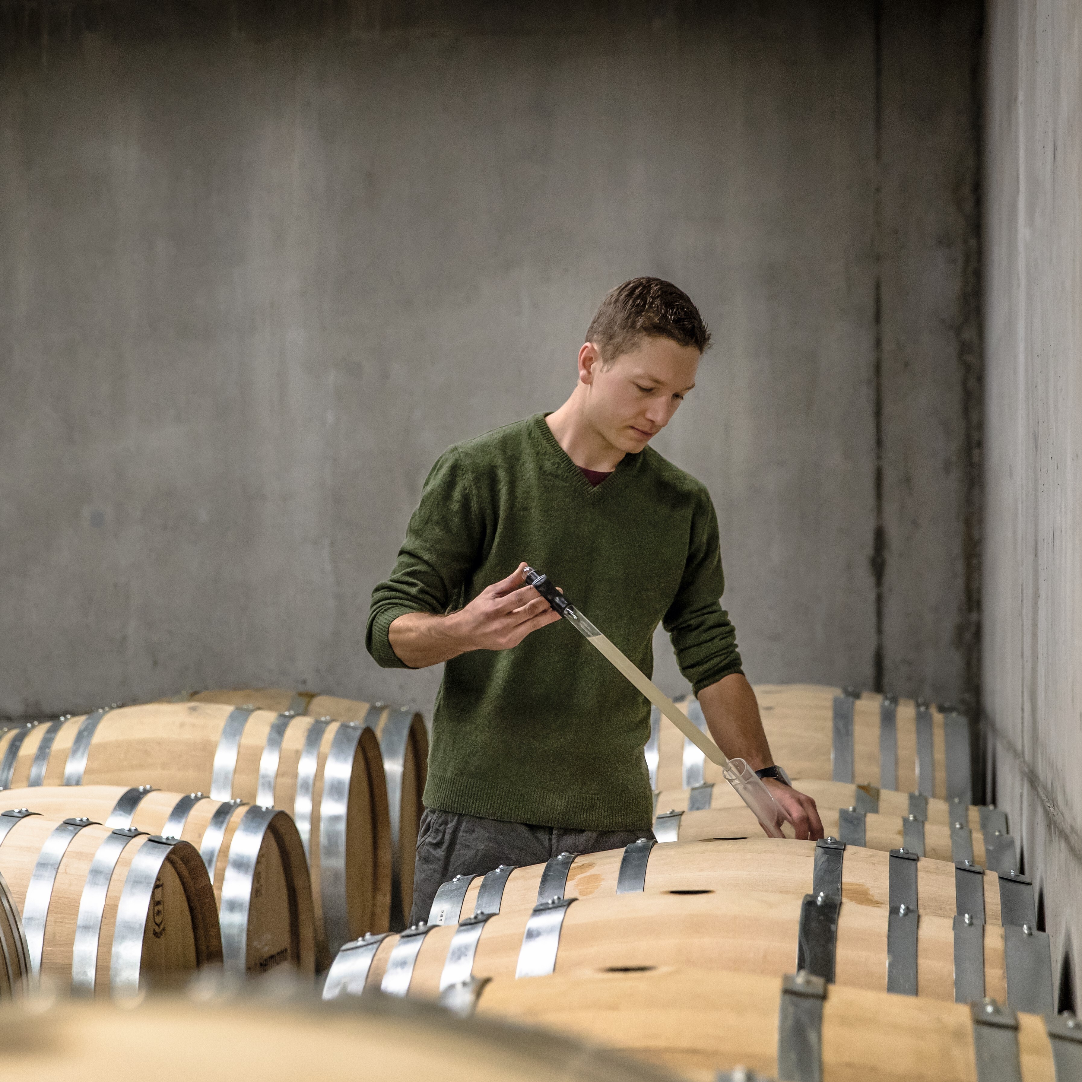 ヴァイングート・ロマン・ヘルマンの写真2