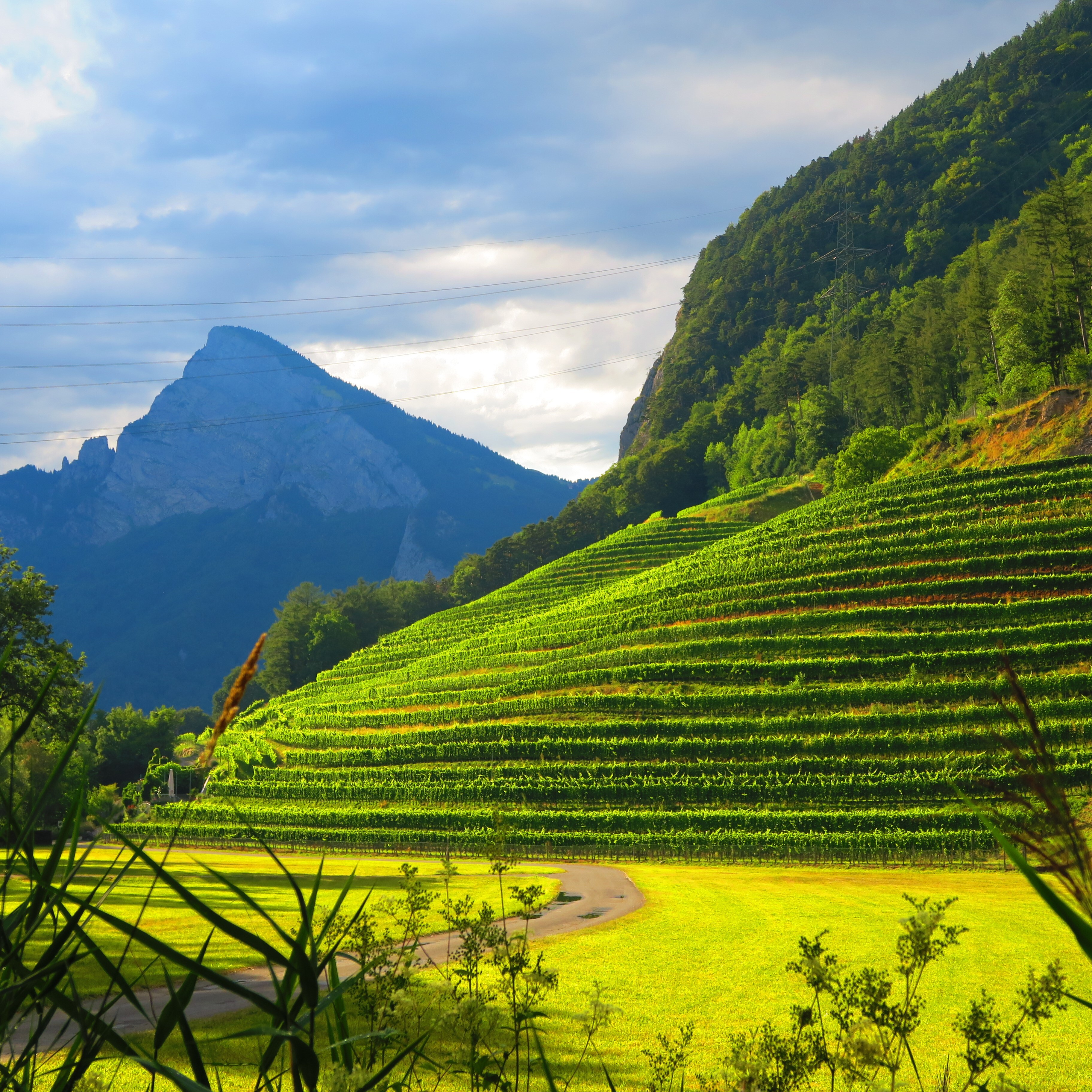 ヴァイングート・ロマン・ヘルマンの写真3