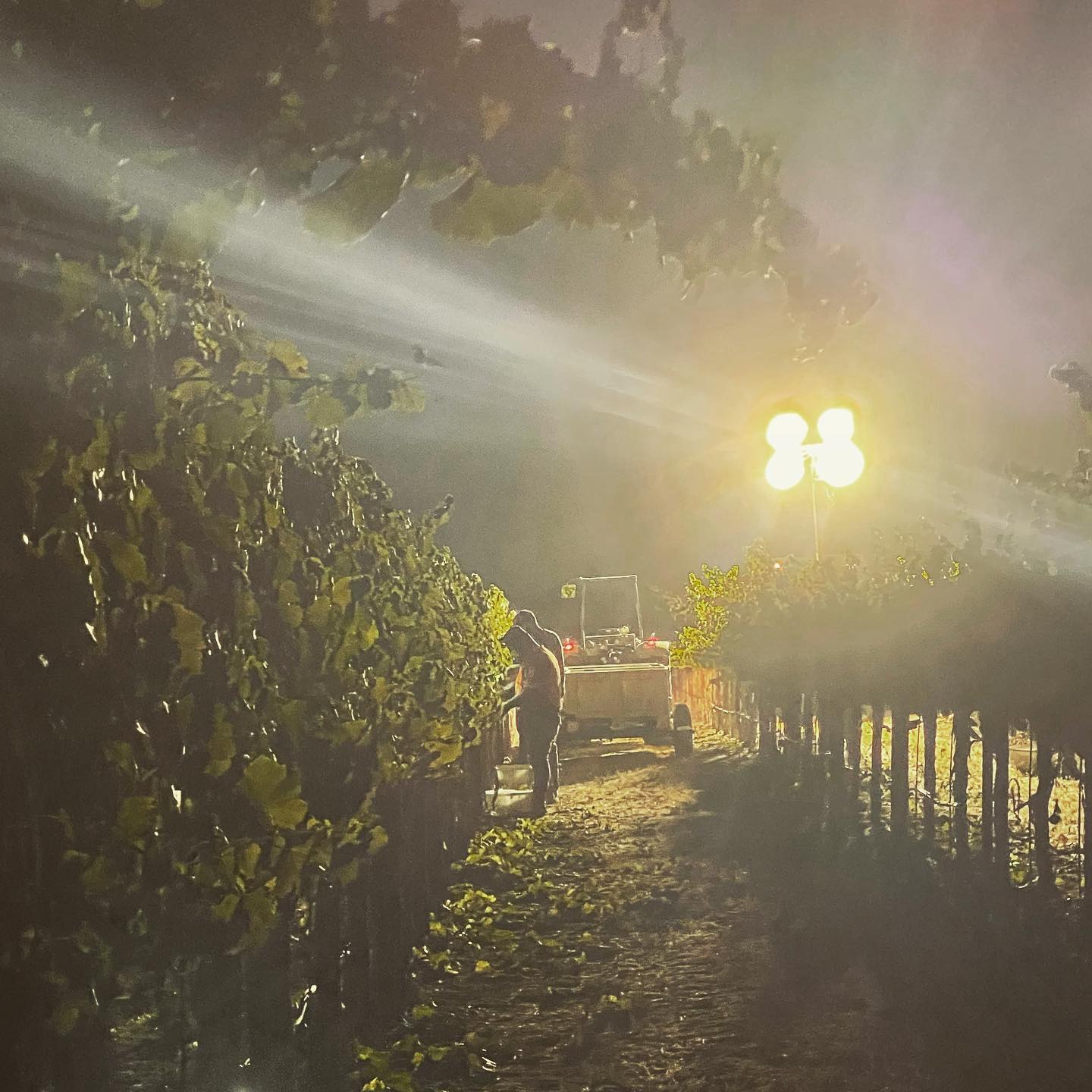 ファブリスト・ワイン・カンパニーの写真3