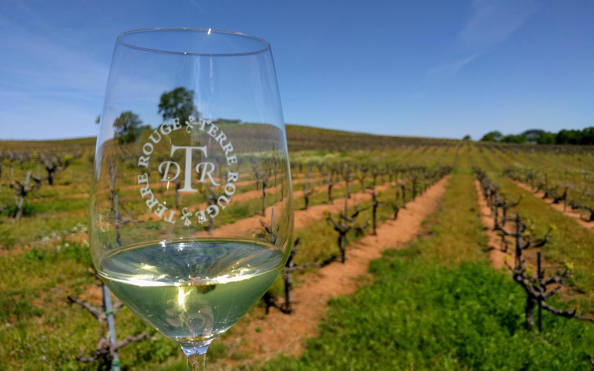 ドメーヌ・ド・ラ・テール・ルージュの写真1