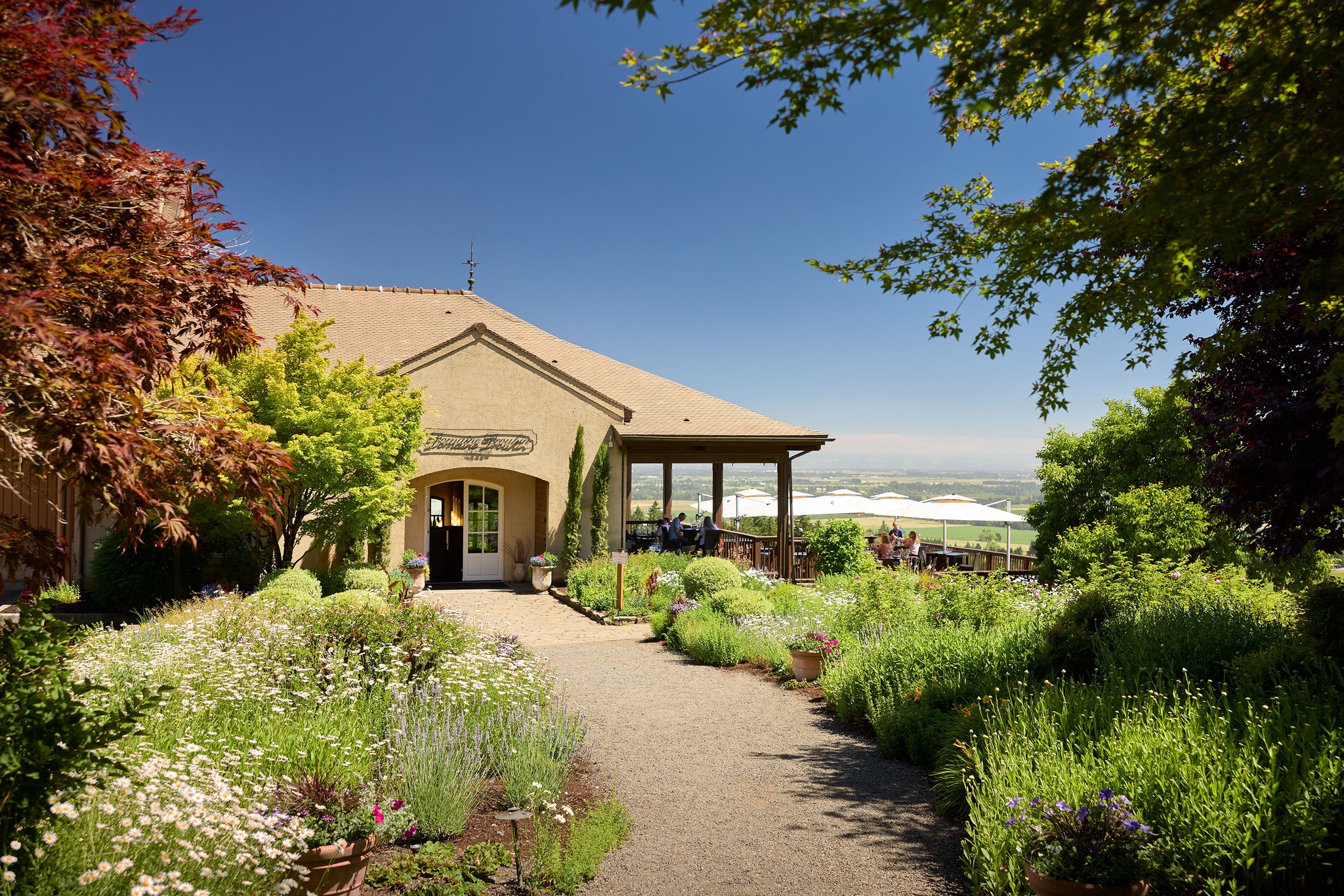 ドメーヌ・ドゥルーアンの写真1