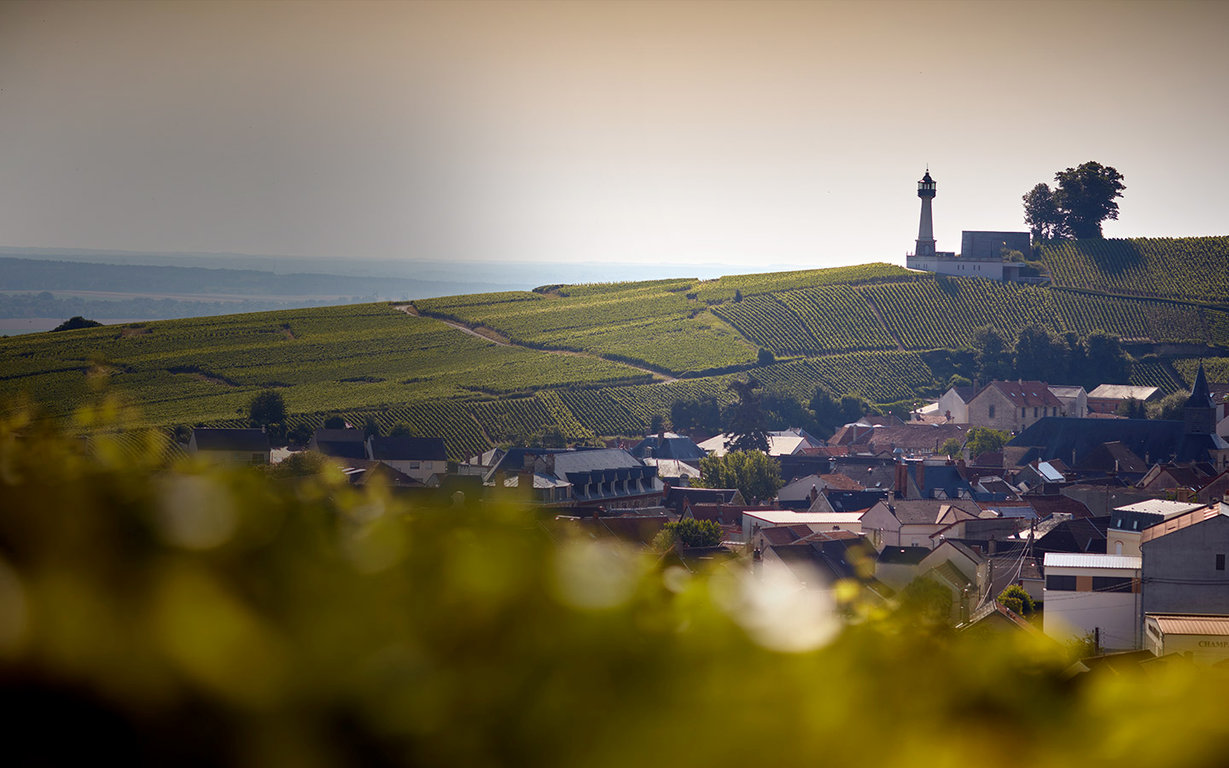 ジェイ・エム・ラブリュイエールの写真2