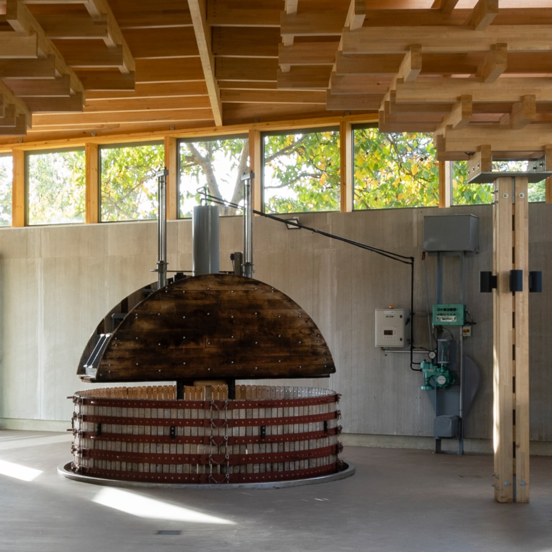 ブルジョワ・ディアズの写真3