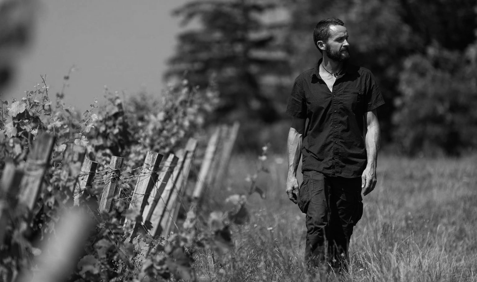 ドメーヌ・ド・ラ・ボルドの写真1