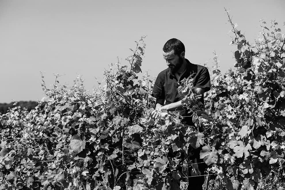 ドメーヌ・ド・ラ・ボルドの写真3