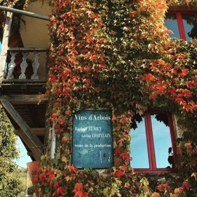 フュメイ・シャトランの写真1