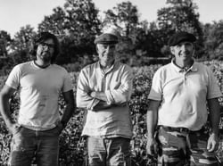 フェルム・ド・ラ・サンソニエールの写真2