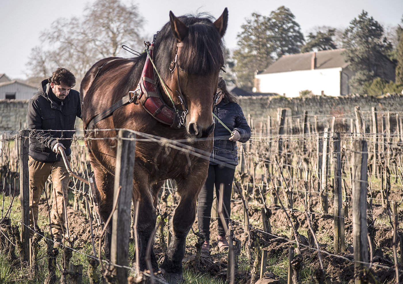 ジャンヌ・ジェルマンの写真1