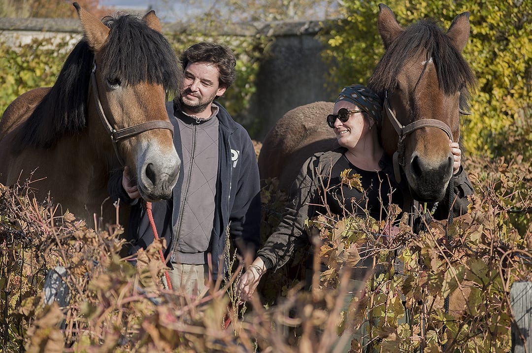 ジャンヌ・ジェルマンの写真3