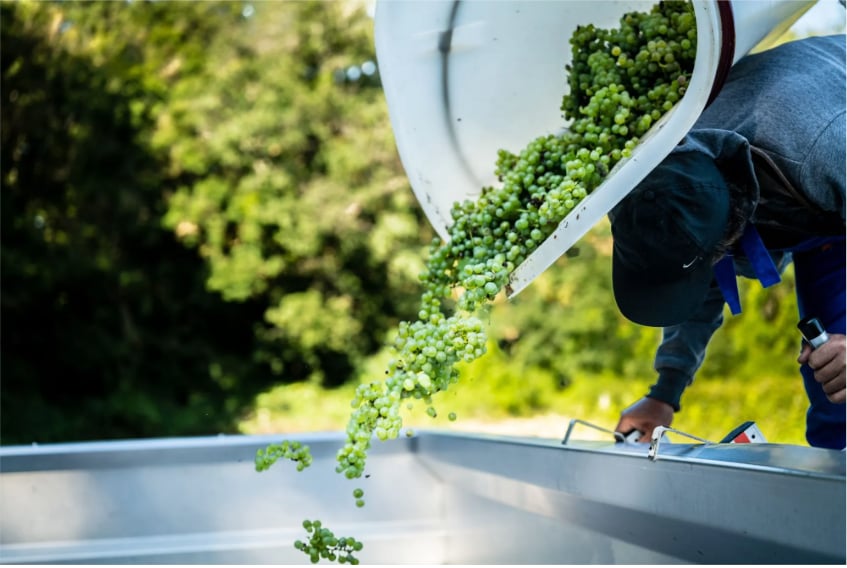 レ・キャトル・ピリエの写真1