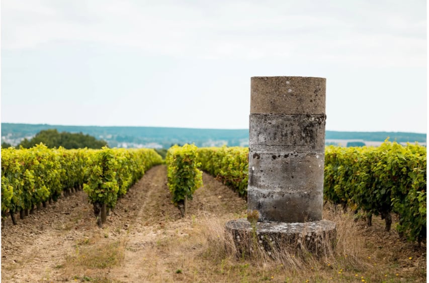 レ・キャトル・ピリエの写真3