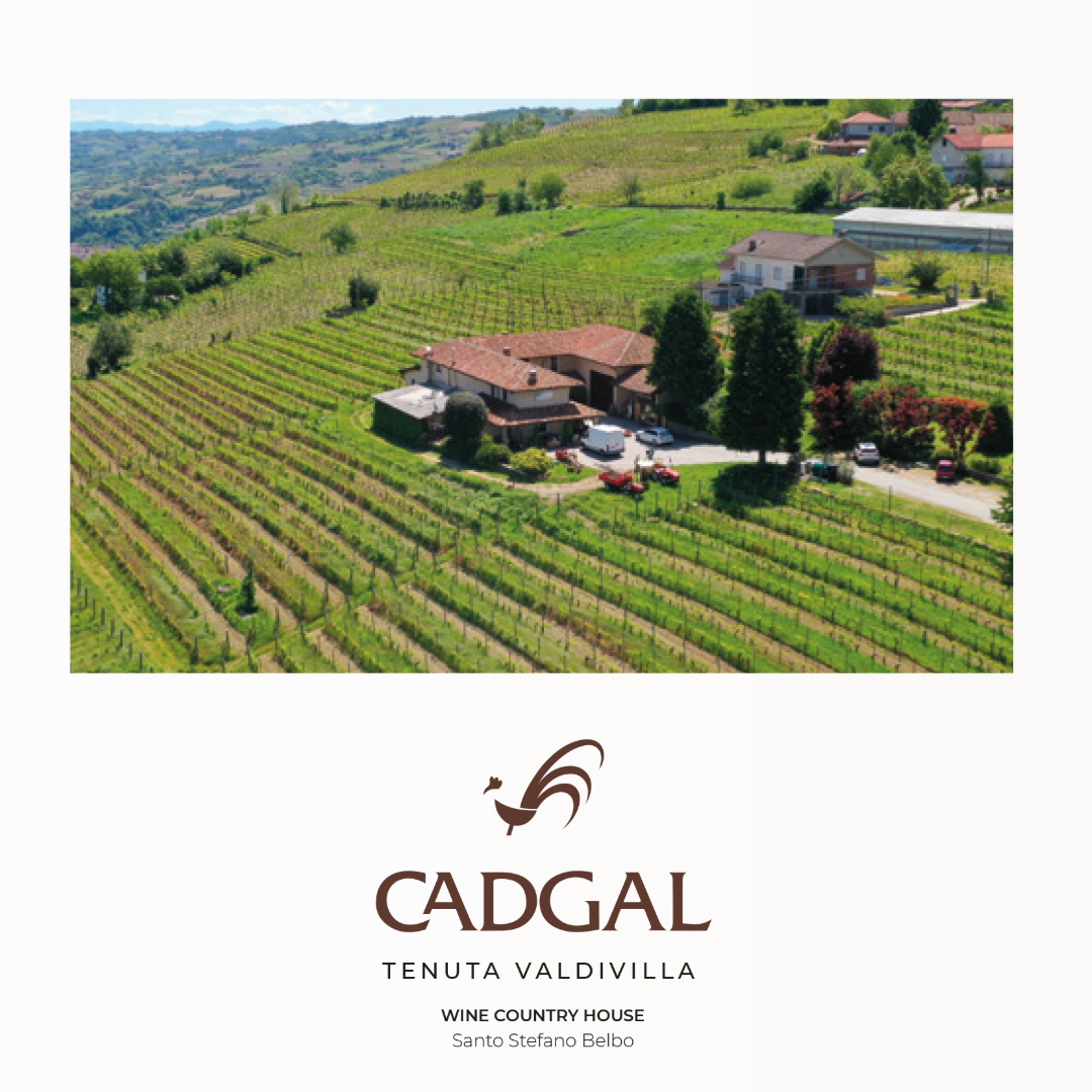 カ・ド・ガルの写真2