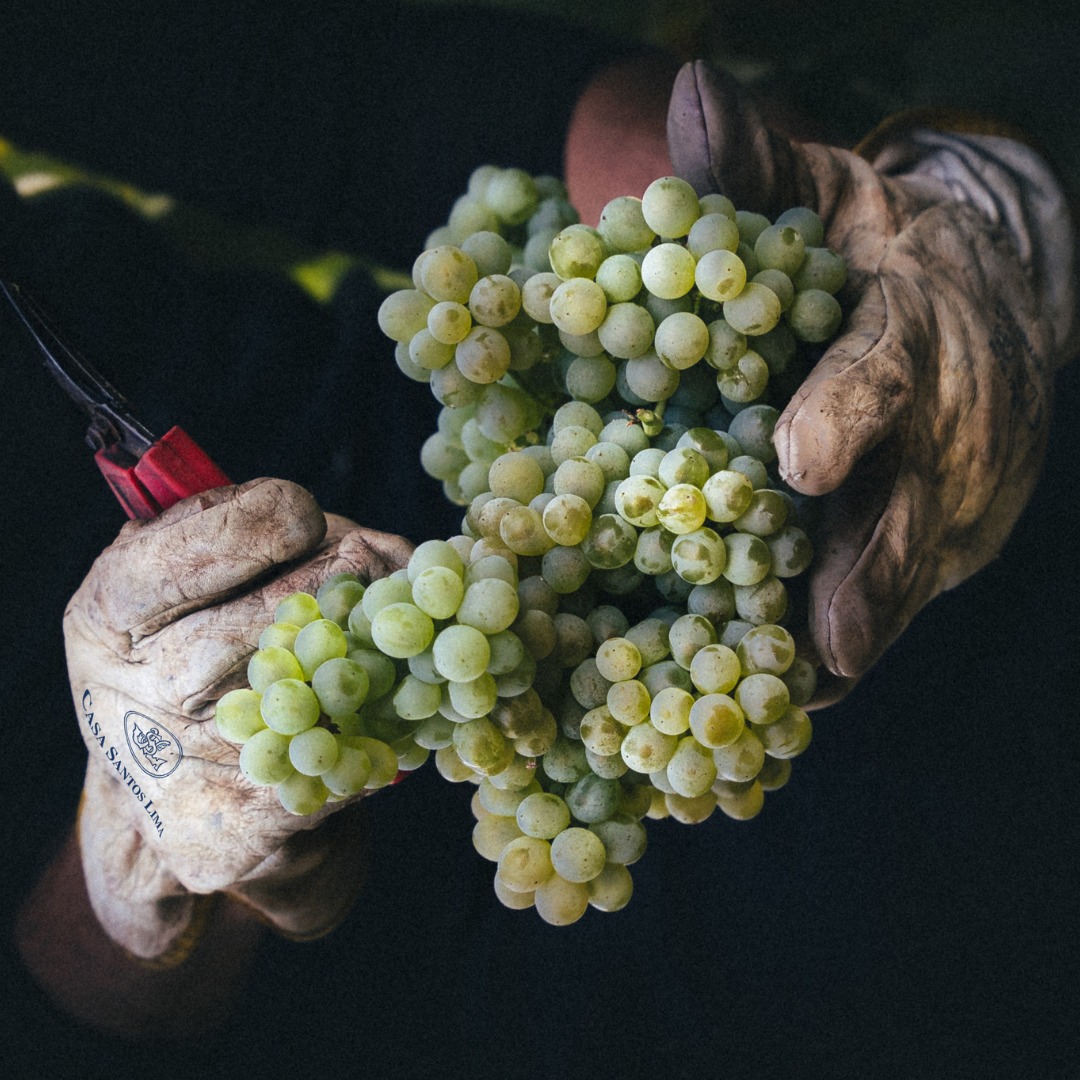 カーサ・サントス・リマの写真1