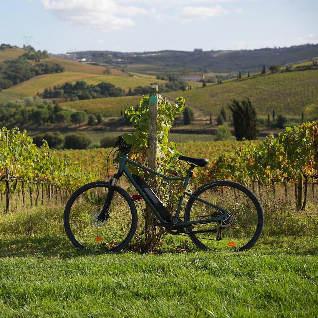 カーサ・サントス・リマの写真3