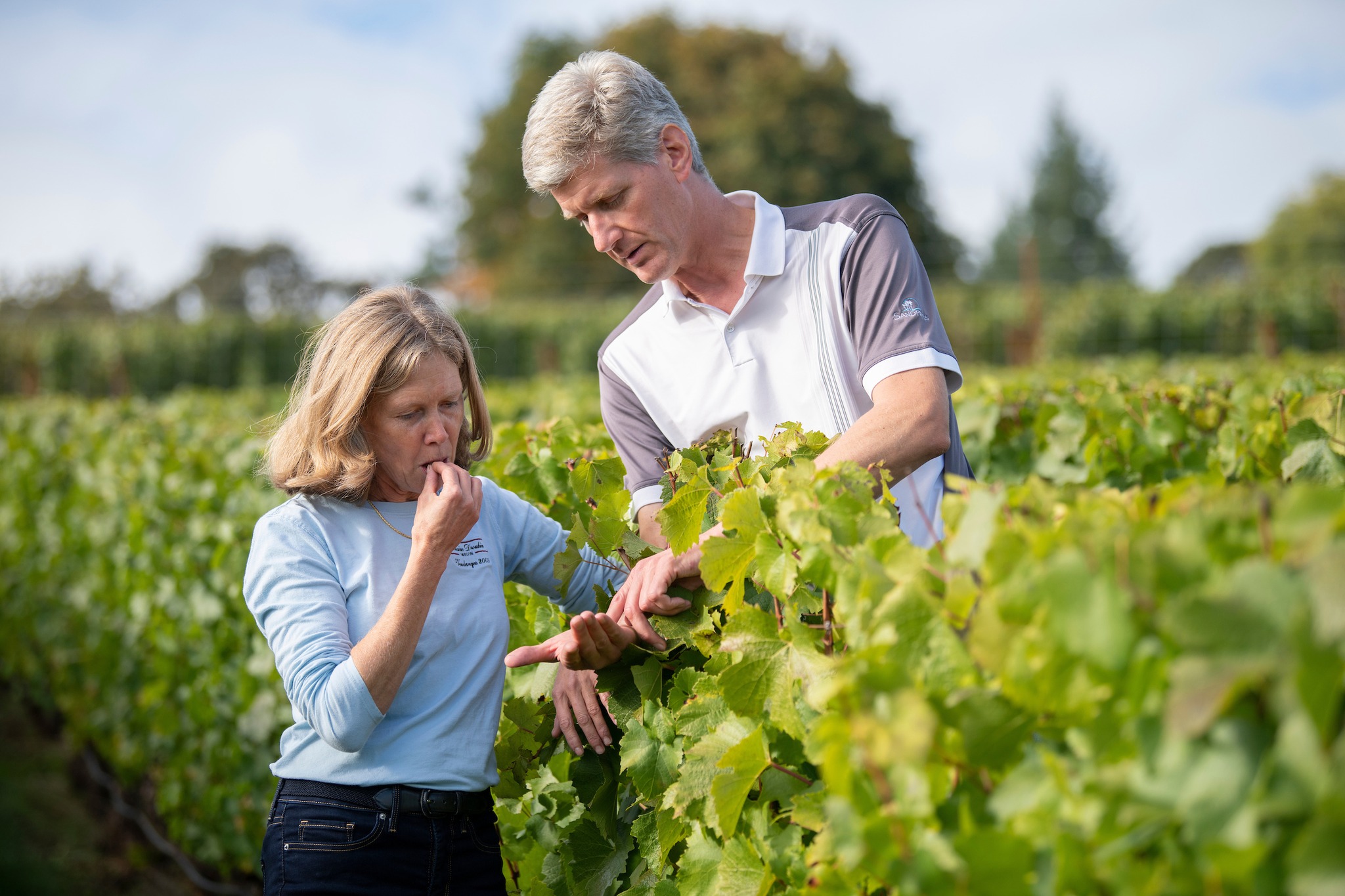ドメーヌ・ドゥルーアンの写真2